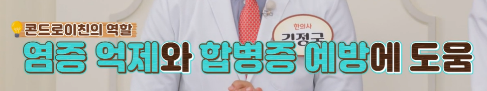 콘드로이친 효능