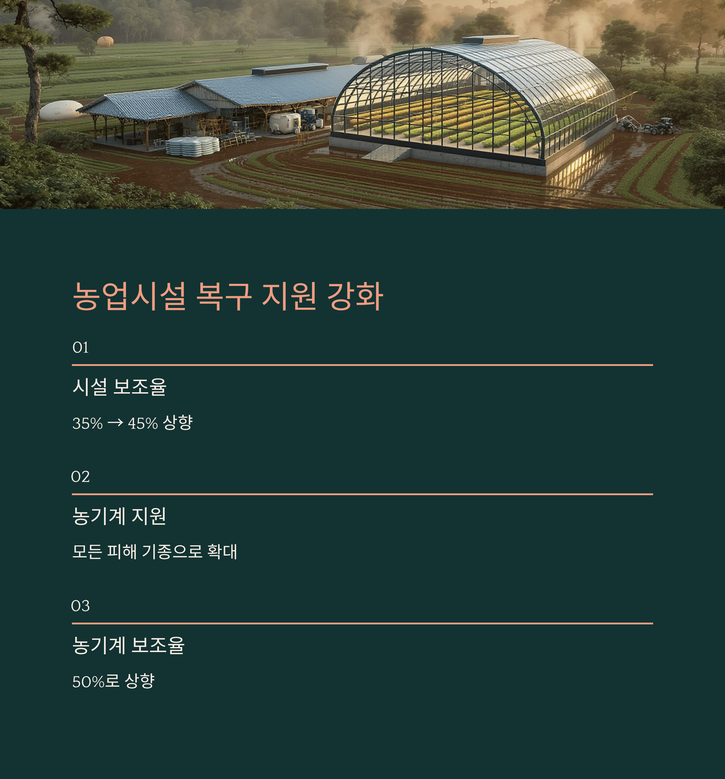 &quot;폭우 피해&quot; 농민들에게 전해진 희망의 소식! 정부 지원금