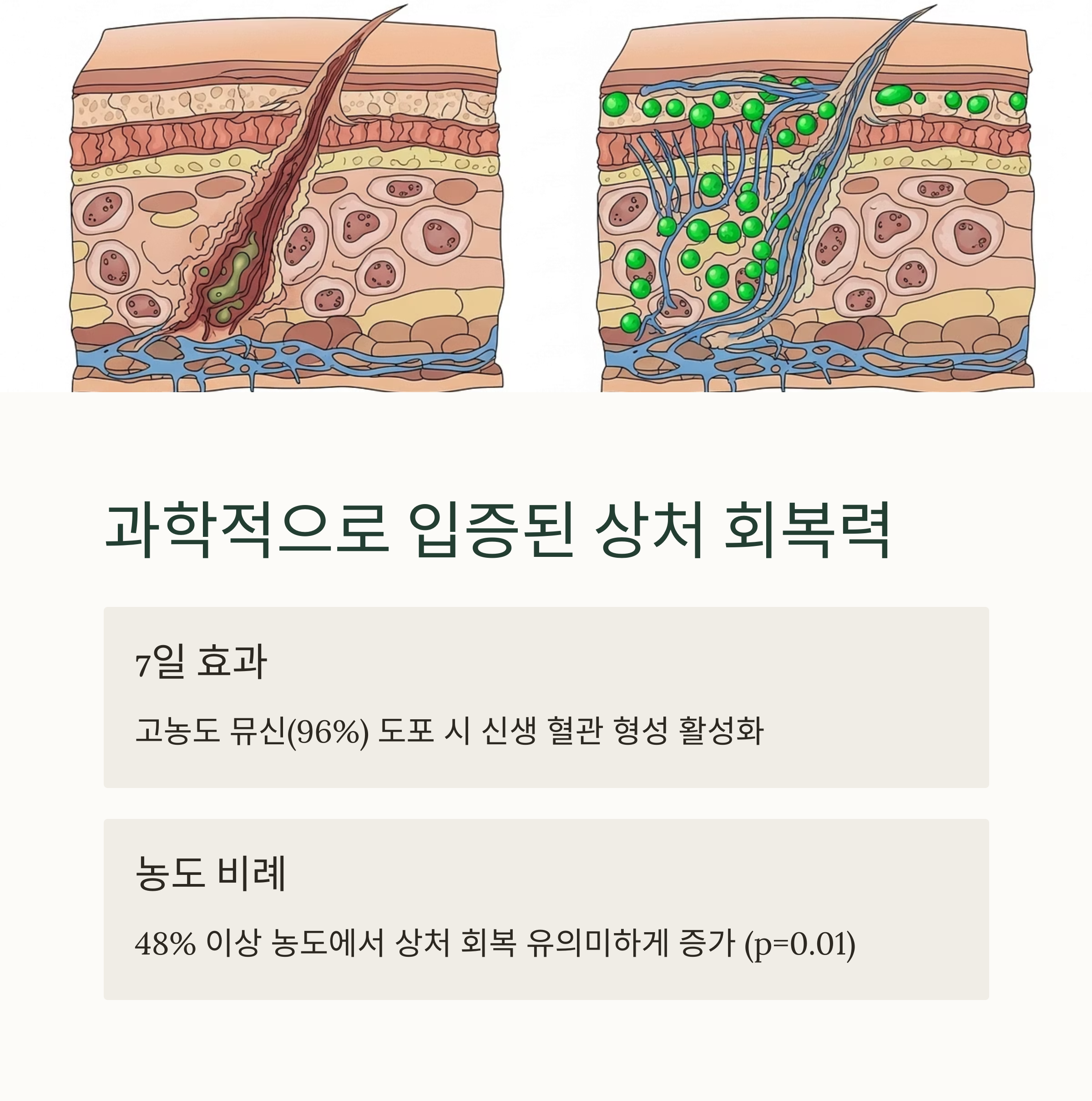 과학적으로 입증된 상처 회복력