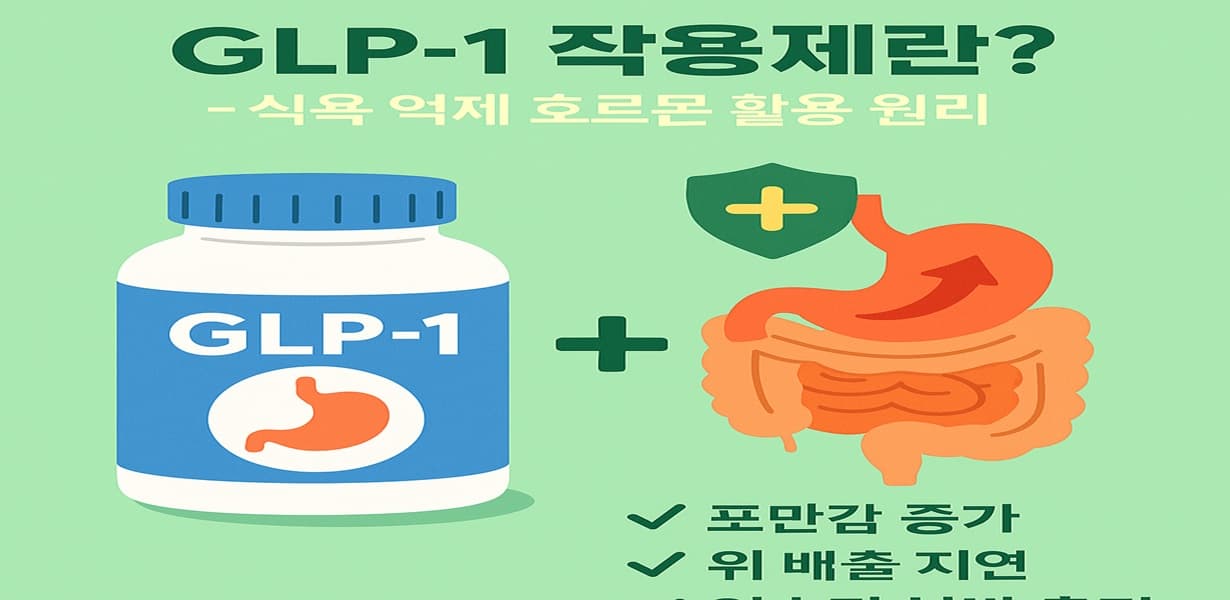 GLP-1 보충제 병과 위장관 다이어그램이 함께 표시된 식욕 억제 호르몬 작용 인포그래픽