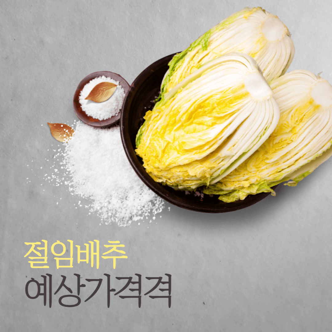 절임배추