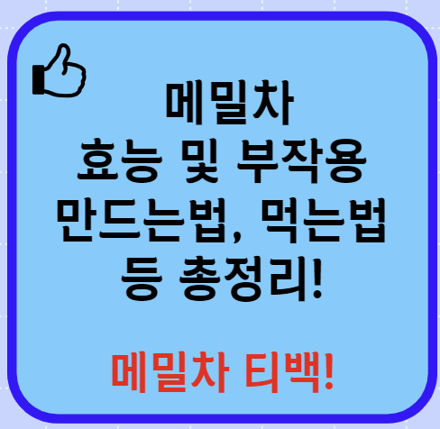 메밀차 효능 부작용 만드는법 먹는방법 등 알아보기(최신 Ver)