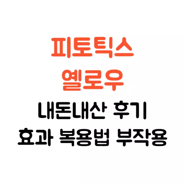 피토틱스 옐로우 내돈내산 후기, 권은비 유산균 효과는