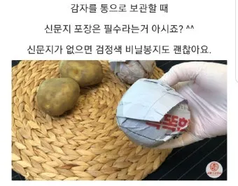 감자 보관법과 오래 신선하게 두는 꿀팁_14