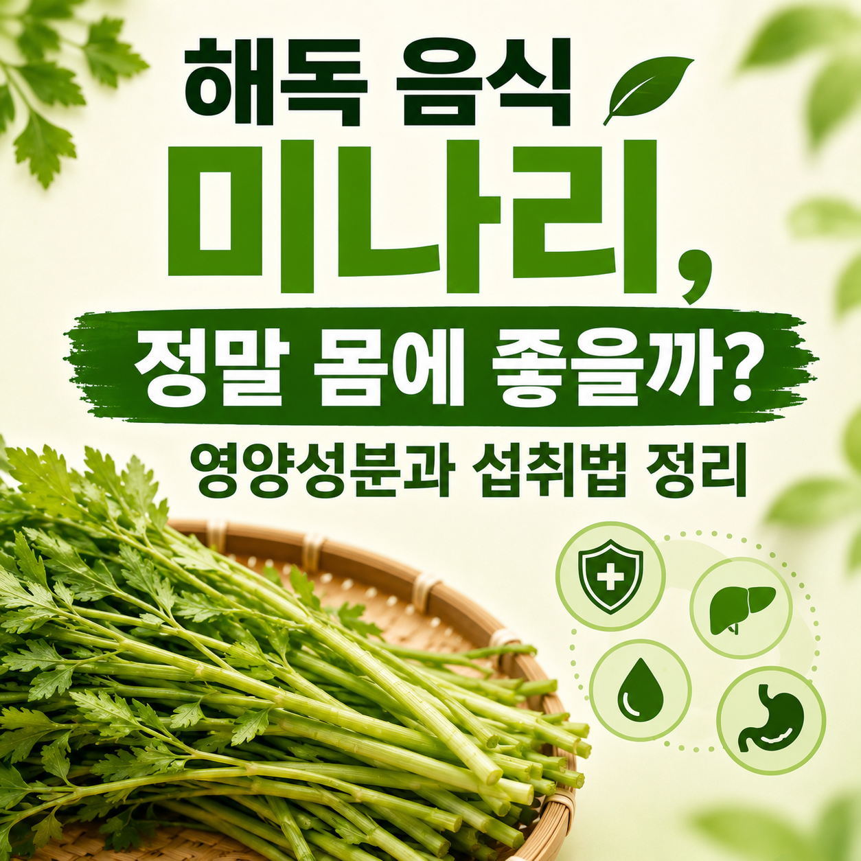미나리 효능
