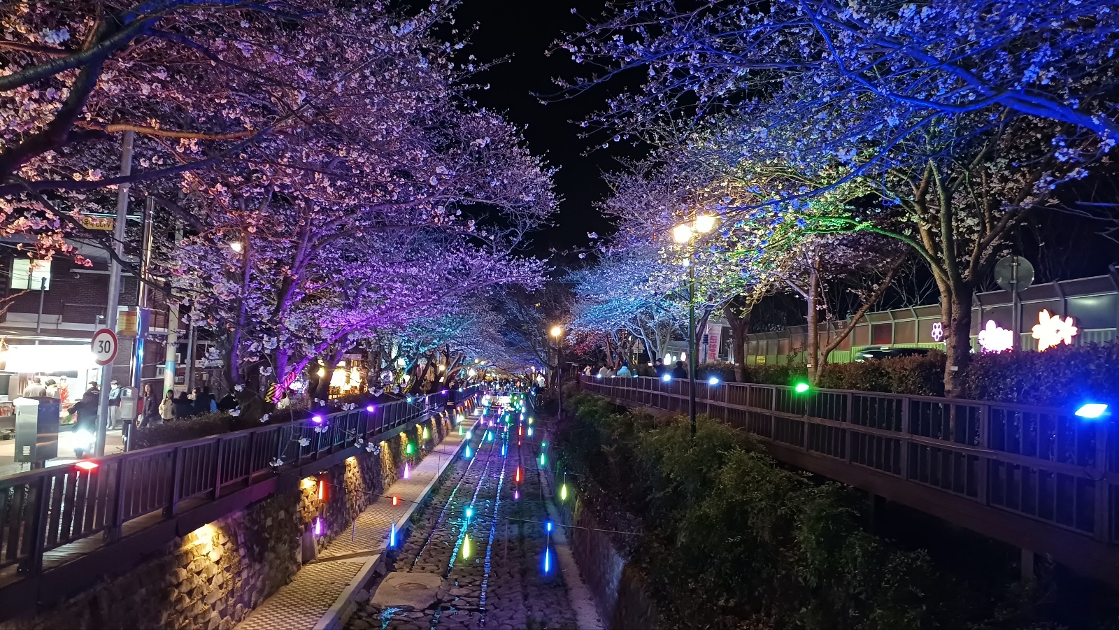 여좌천 벚꽃14