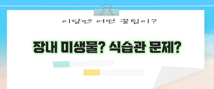방귀가 많이 나오는 이유 정말 궁금하지 않나요?