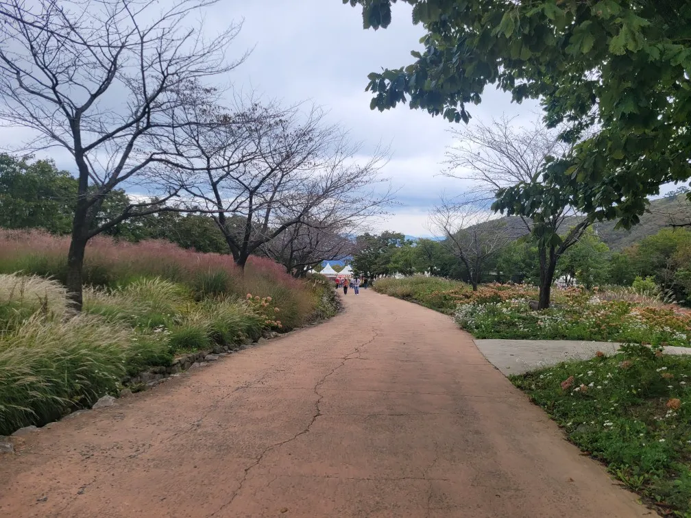 비 오는 날 나는 냄새의 정체: 페트리코르(Petrichor)