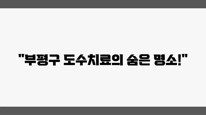 환자는 부평구 도수치료 전문병원을 찾아봅니다