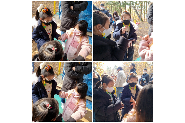 용평리조트 마운틴 코스터