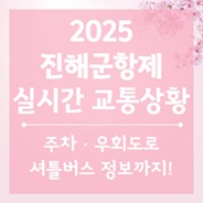 진해 군항제 실시간 교통상황