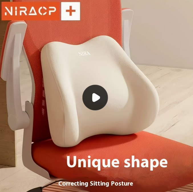 허리 &amp; 뒷목 지지 쿠션
