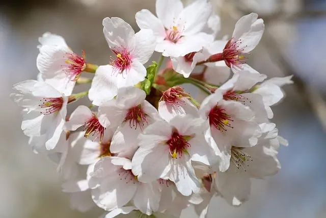 계절별 인사말 예시 모음 영어_3