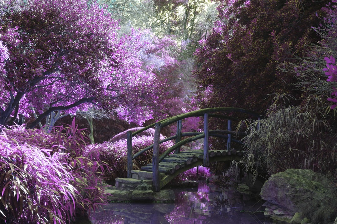 Secret Garden