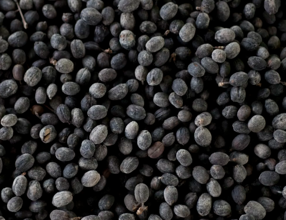 칼슘이 많은 음식