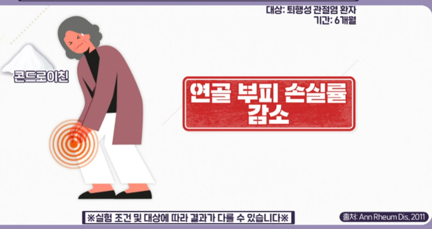콘드로이친