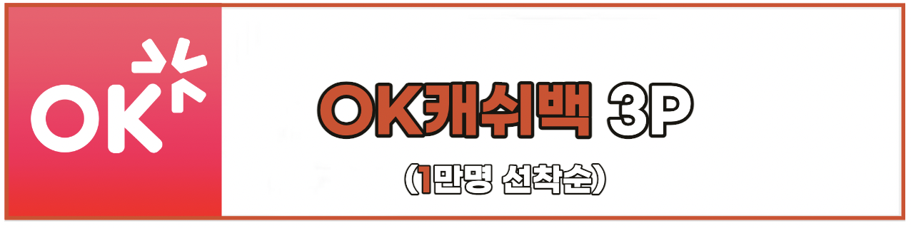 정부 지원 대출