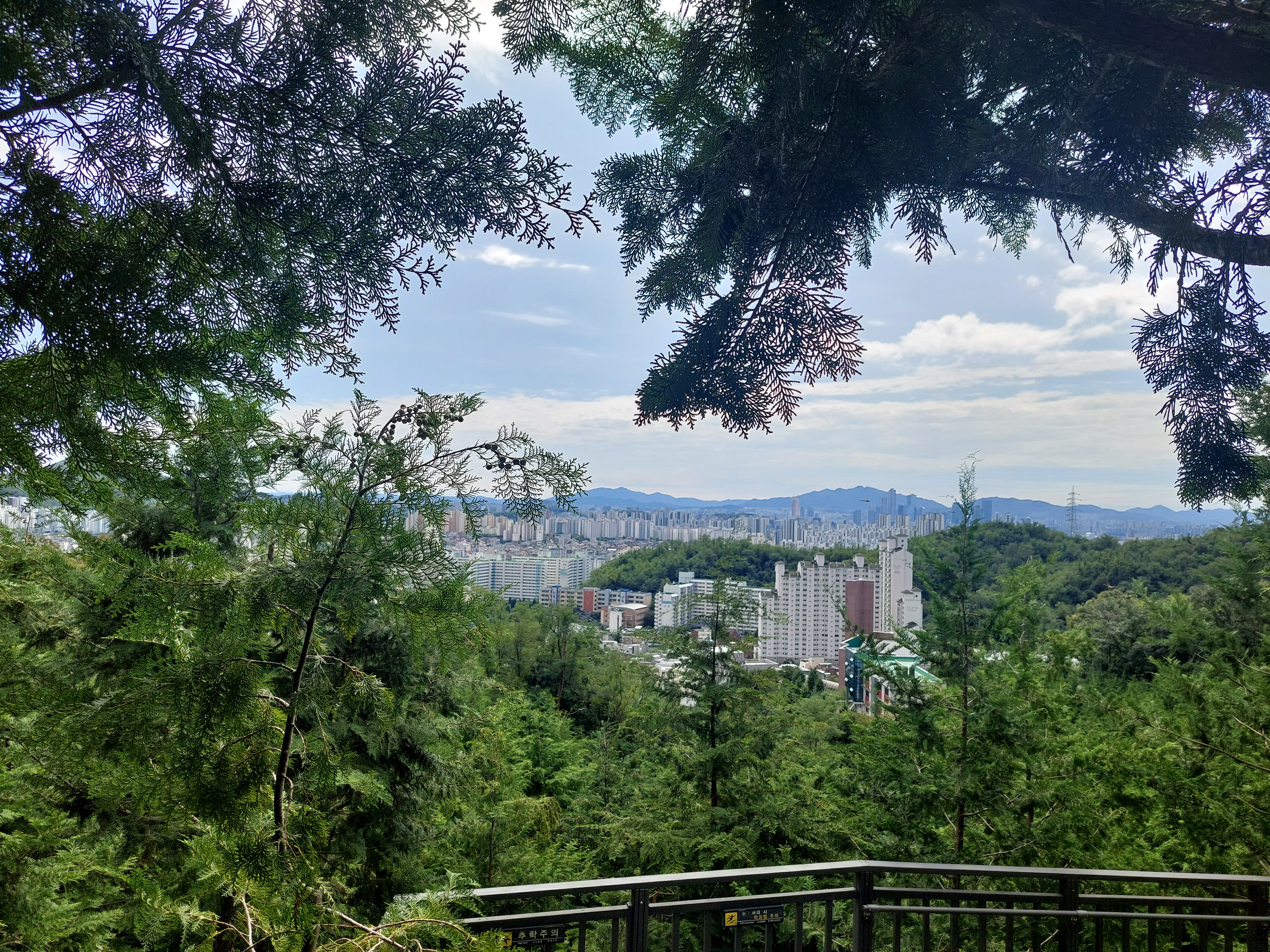 봉산앵봉산