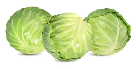 양배추 효능, 양배추 샐러드