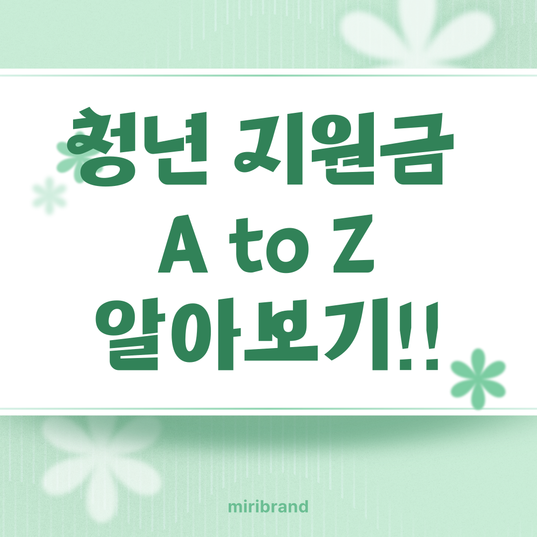 청년 지원금