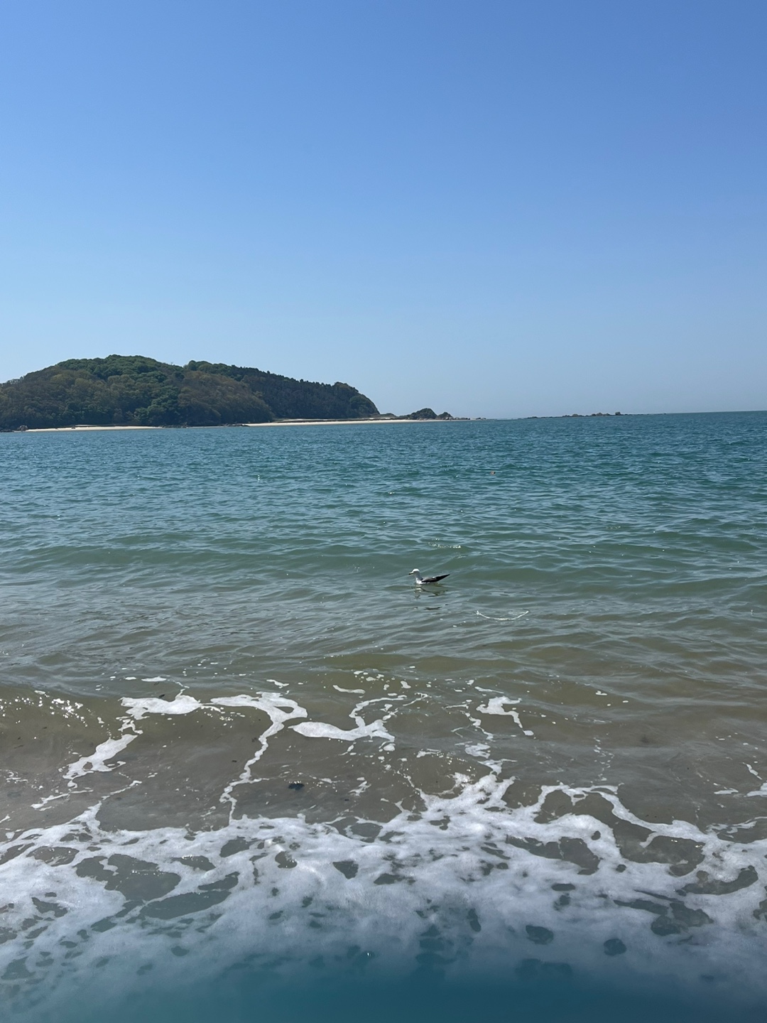 대이작도