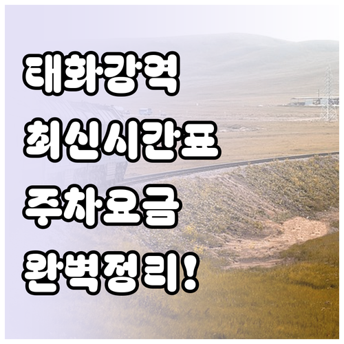태화강역 동해선 시간표와 무궁화호 노..