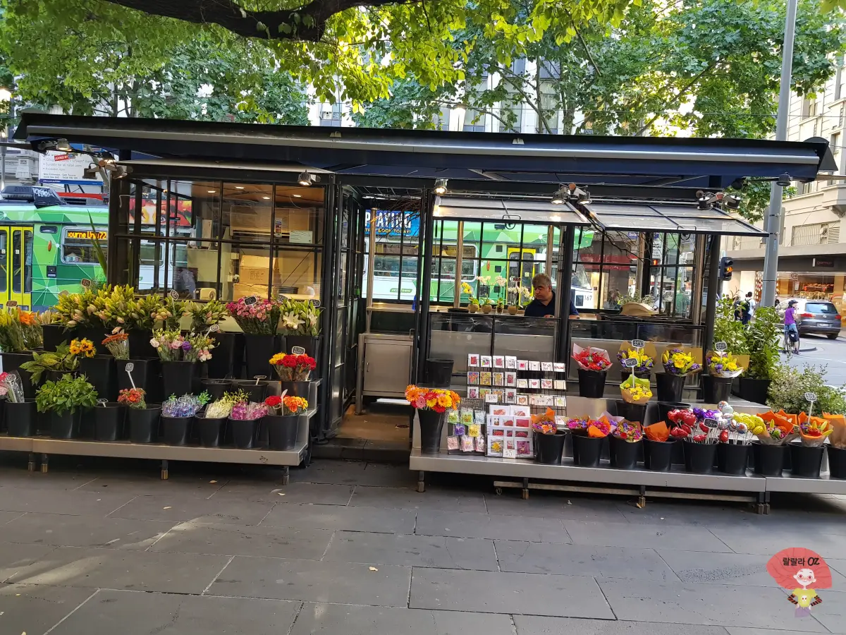 호주-멜버른-다운타운-꽃집-앞-알록달록-예쁜-꽃들