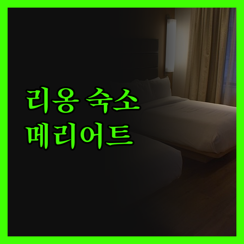 리옹 메리어트 호텔 시테 인터내셔내일