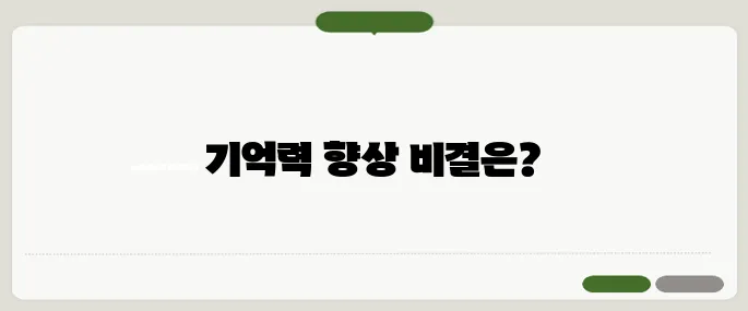 치매 예방에 좋은 음식과 생활 습관 기억력 높이는 방법