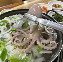 박속낙지