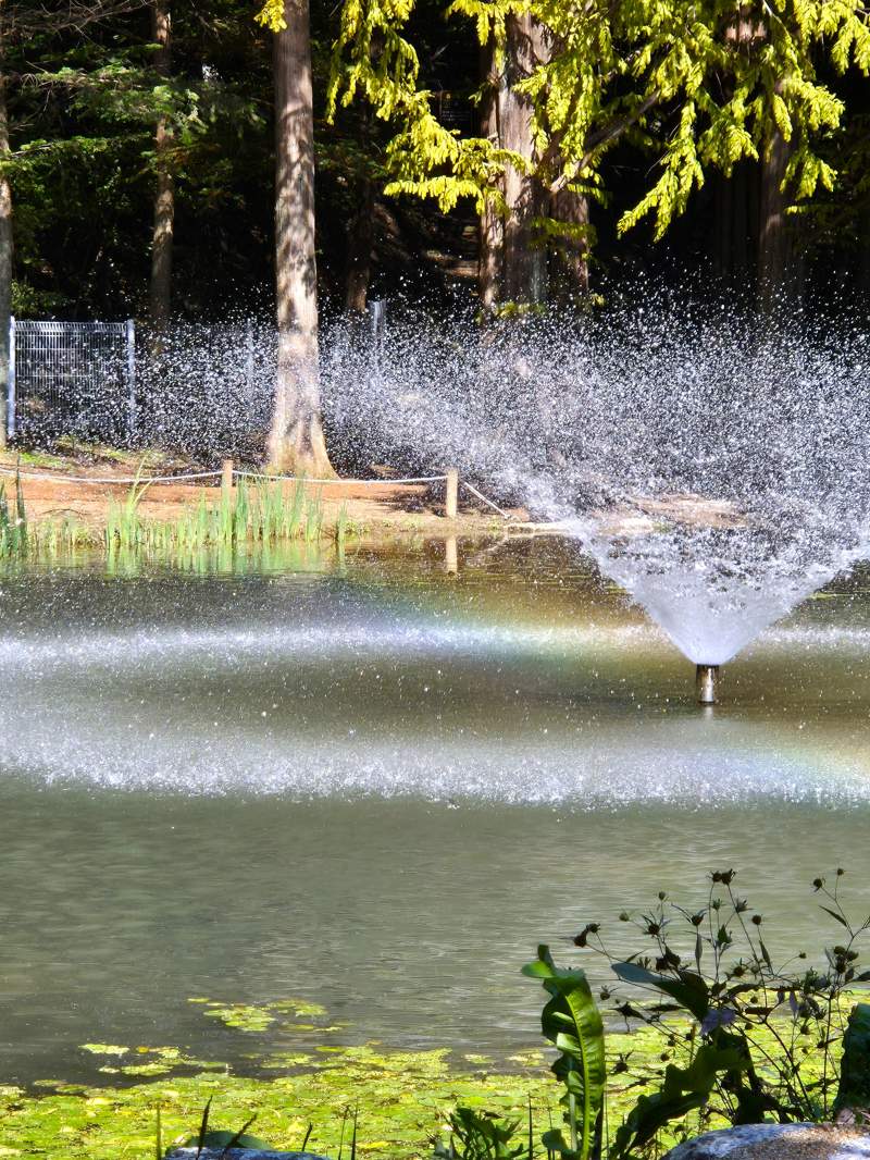 Nakgangmulgil Park fountain, 낙강물길공원 분수