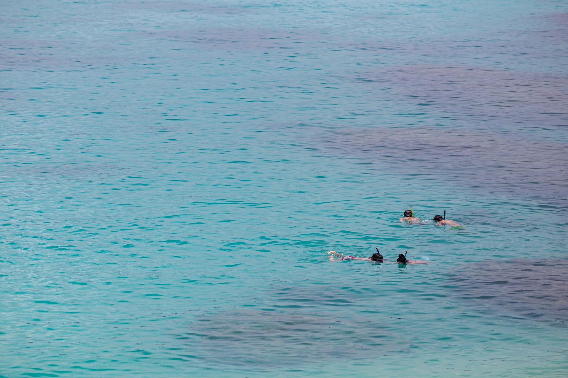 #게라마제도 #미슐랭그린가이드 #오키나와 #오키나와바다 #오키나와여행 #오키나와해변 #자마미섬 #후루자마미 #후루자마미비치 #후루자마미해변