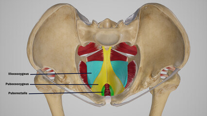 항문거근증후군 원인, 증상, 치료, 예방법을 참고하시기 바랍니다.