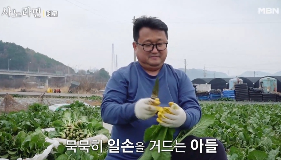 사노라면-오뚝이-춘화-엄마-