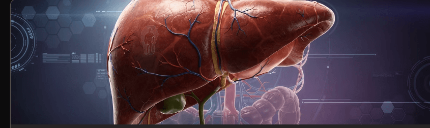 감마지티피 높으면