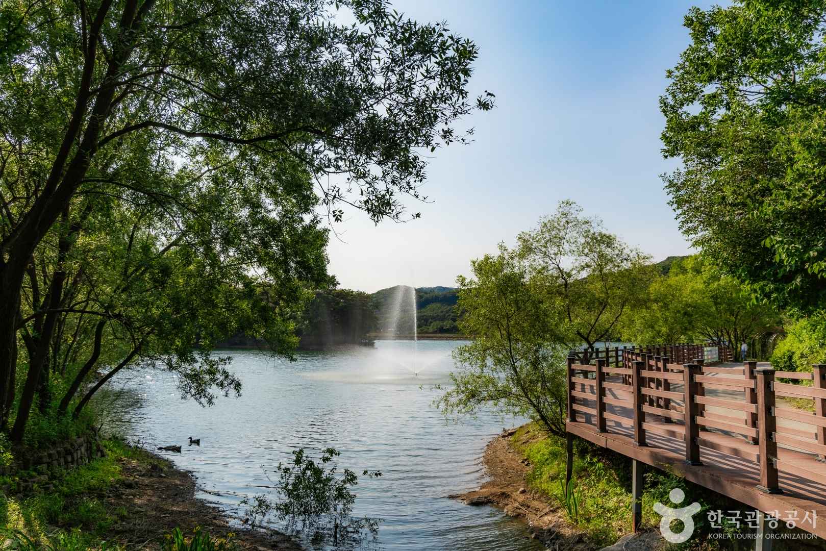 마장호수 출렁다리