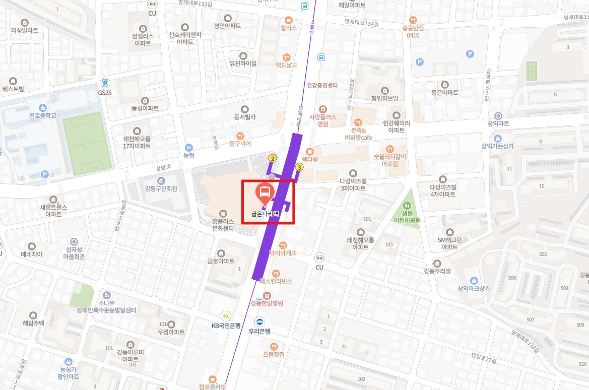 굽은다리역 인천공항 리무진 버스 노선 시간표 요금 예약 방법 6300번