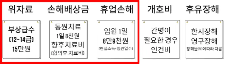 대인합의금 종류 5가지(위자료,손해배상금,휴업손해,개호비,후유장해)