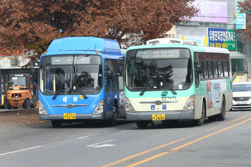 대구 시내버스 첫차시간 노선별 운행정보와 이용 꿀팁_2
