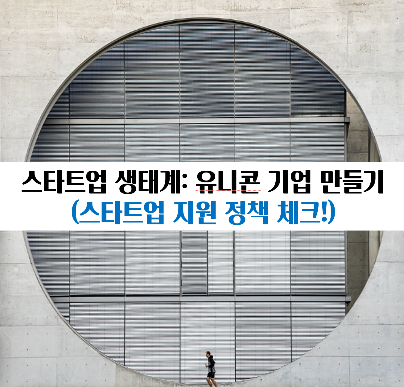 스타트업 생태계: 유니콘 기업 만들기 (스타트업 지원 정책 체크!)
