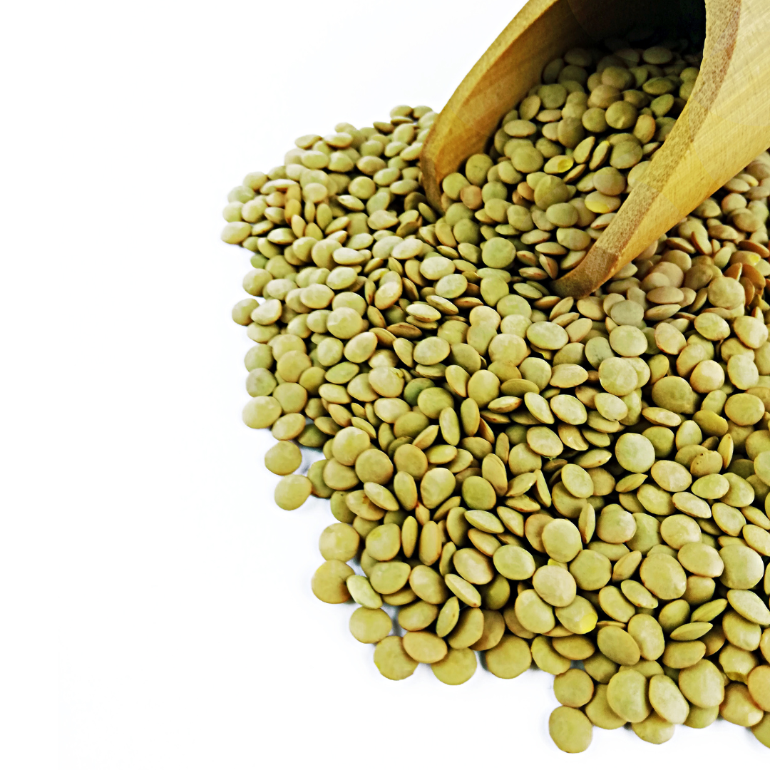 렌틸콩 효능과 부작용 그리고 렌틸콩 색깔별 차이점과 효능&amp;#44; 삶는 방법과 활용법