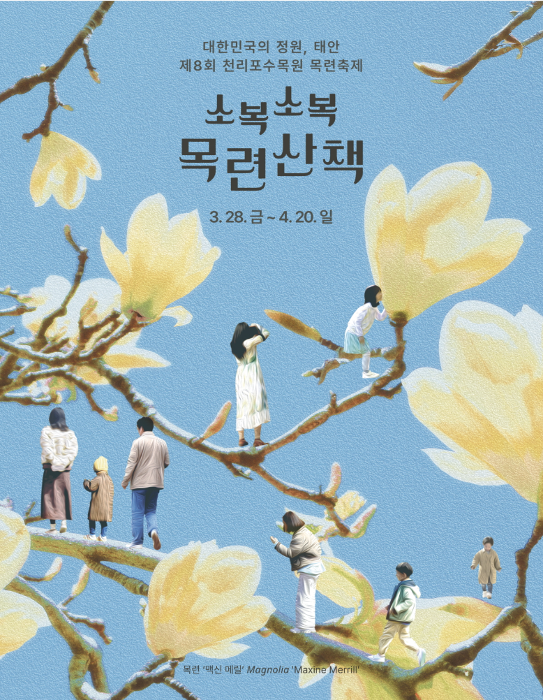 2025 천리포수목원 목련축제 일정 기간 요금 주변 코스