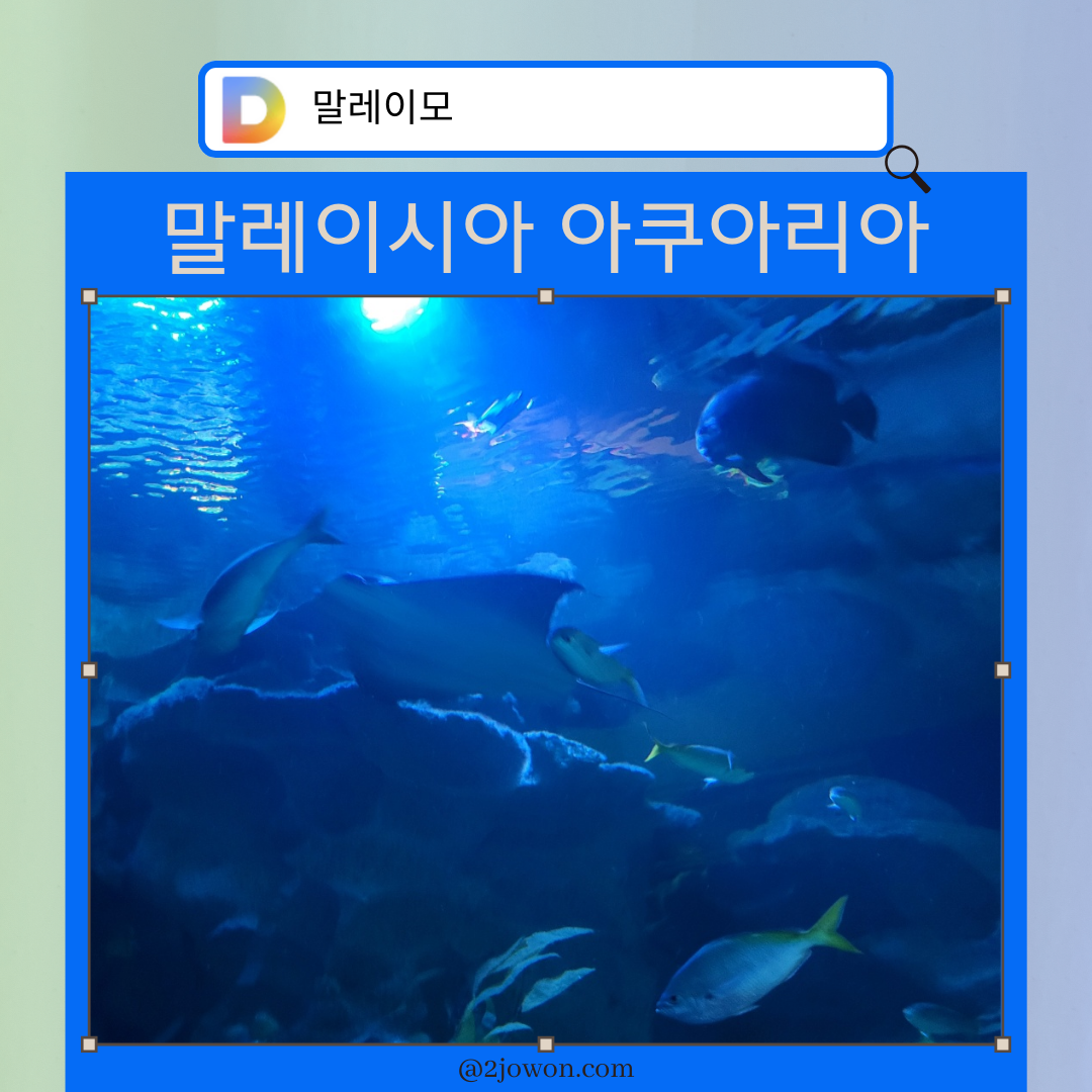 말레이시아 아쿠아리아