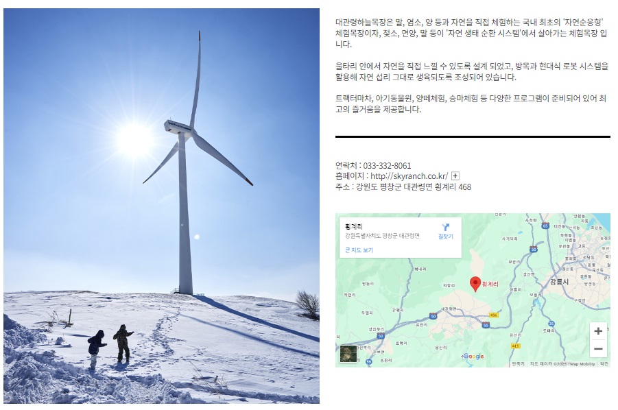 대관령눈꽃축제
