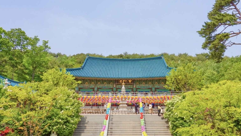 양양 가볼만한곳 베스트10