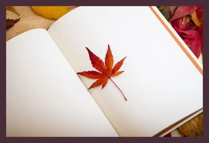 작별하지 않는다 줄거리