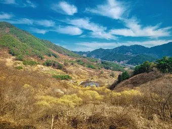 구례 가볼만한곳 베스트10 장터 현지인 맛집_10