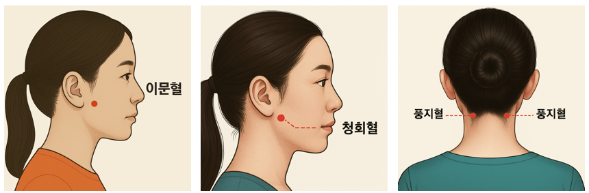 이문혈, 청회혈, 풍지혈 (혈자리)