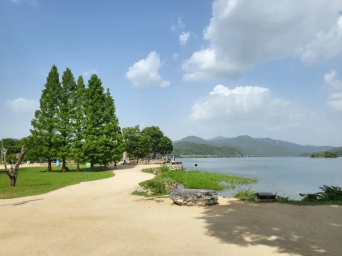 양평 두물머리 사진