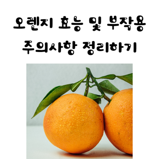 오렌지의 효능 및 부작용, 주의사항